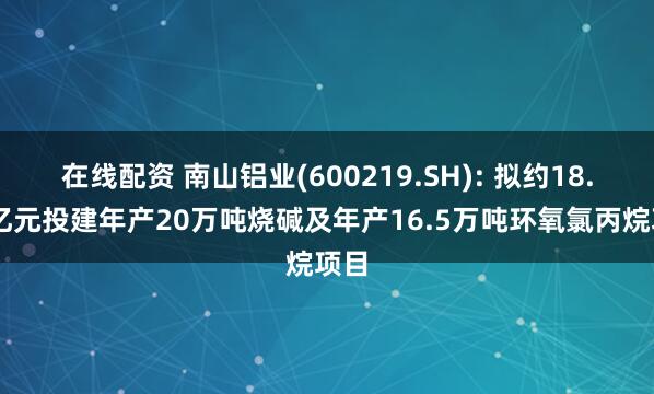 在线配资 南山铝业(600219.SH): 拟约18.68亿元投建年产20万吨烧碱及年产16.5万吨环氧氯丙烷项目