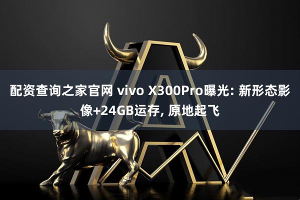 配资查询之家官网 vivo X300Pro曝光: 新形态影像+24GB运存, 原地起飞