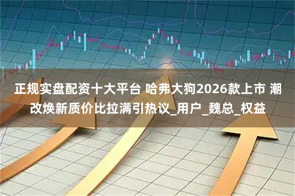 正规实盘配资十大平台 哈弗大狗2026款上市 潮改焕新质价比拉满引热议_用户_魏总_权益